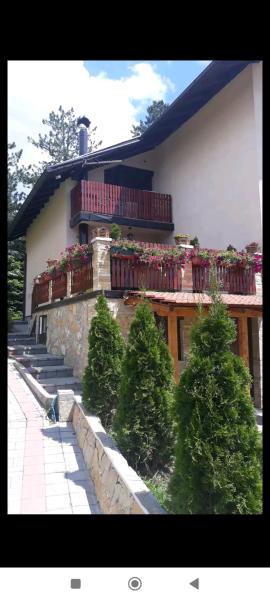 Apartment Niva